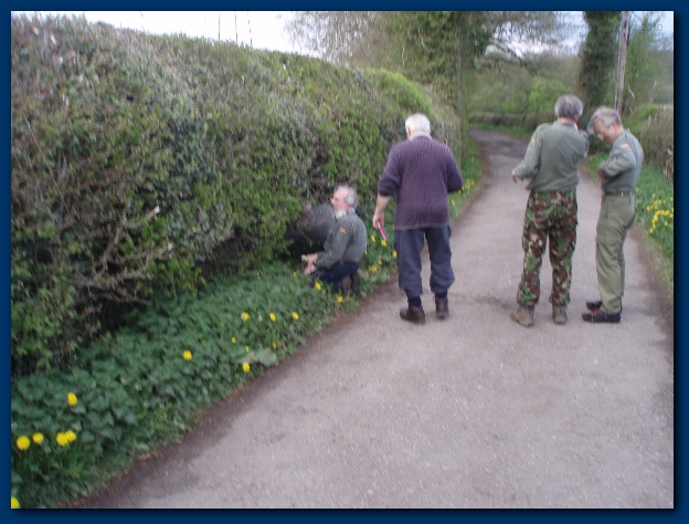 600x449 pixels (126K)